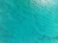 Aqua Aerial Solutions 