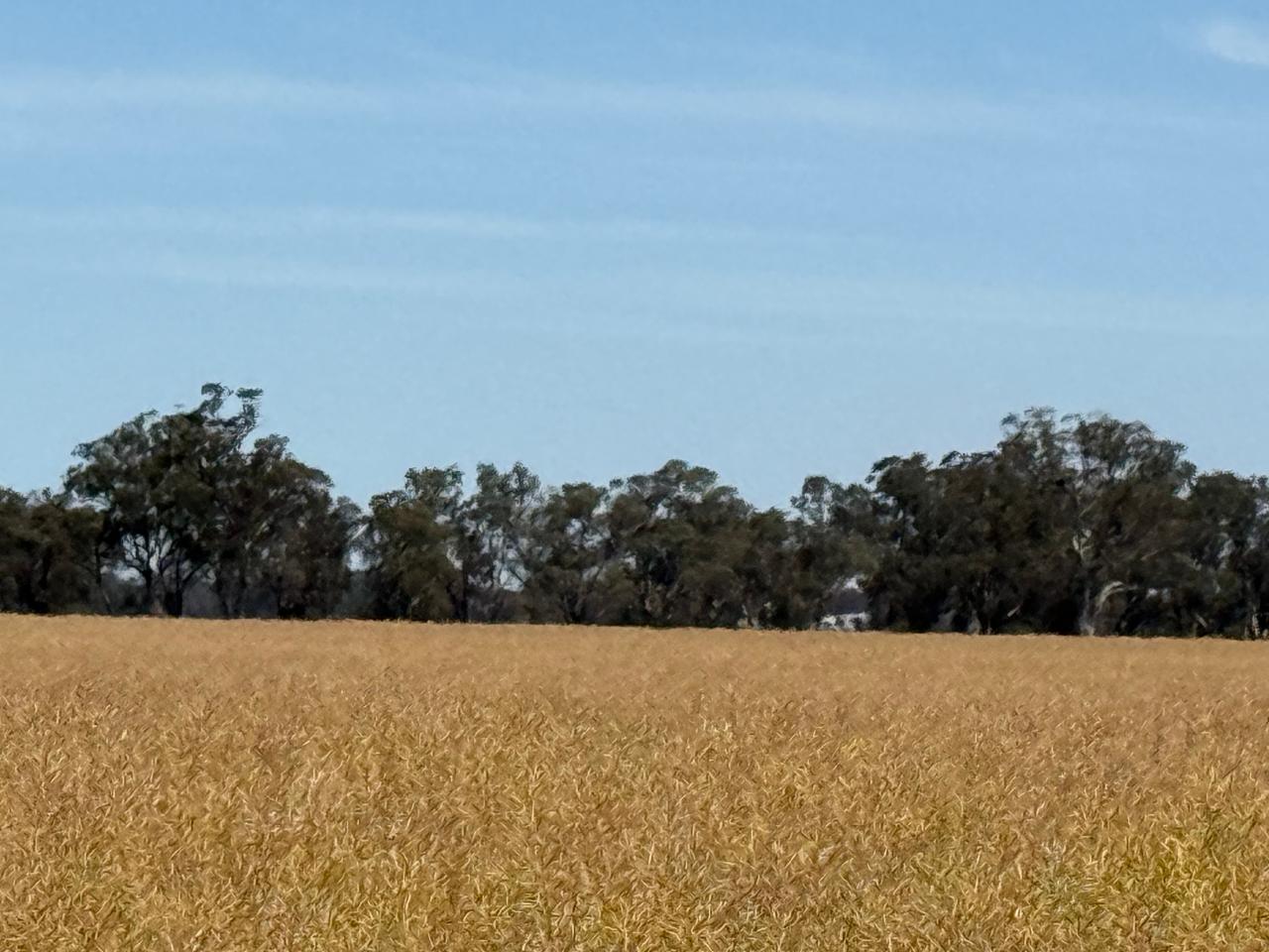 Aerial photography, drone photography by JTW Drone Services