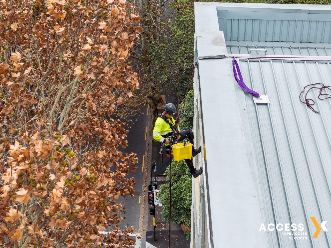 Project Ultimo – Facade Renovation Progress, Sydney CBD