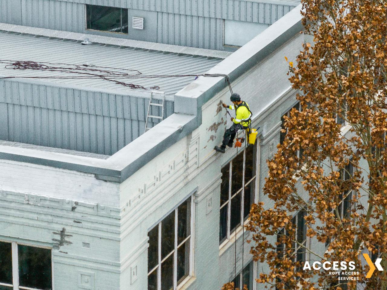 Project Ultimo – Facade Renovation Progress, Sydney CBD