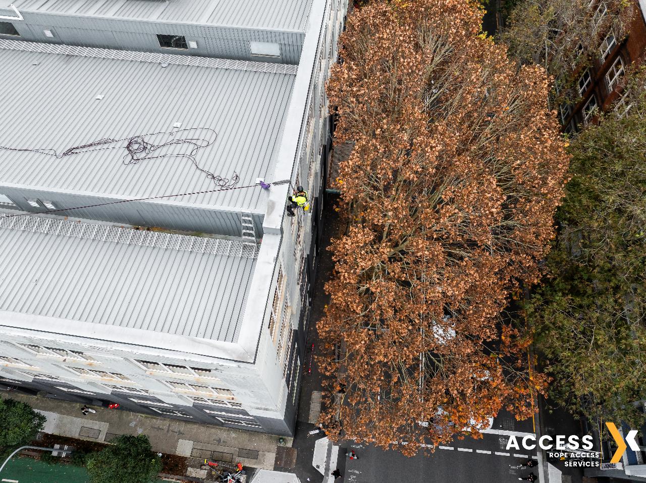 Project Ultimo – Facade Renovation, Sydney CBD