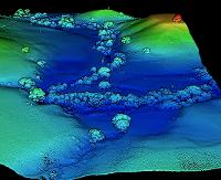 Victorian Geology and Survey Solutions