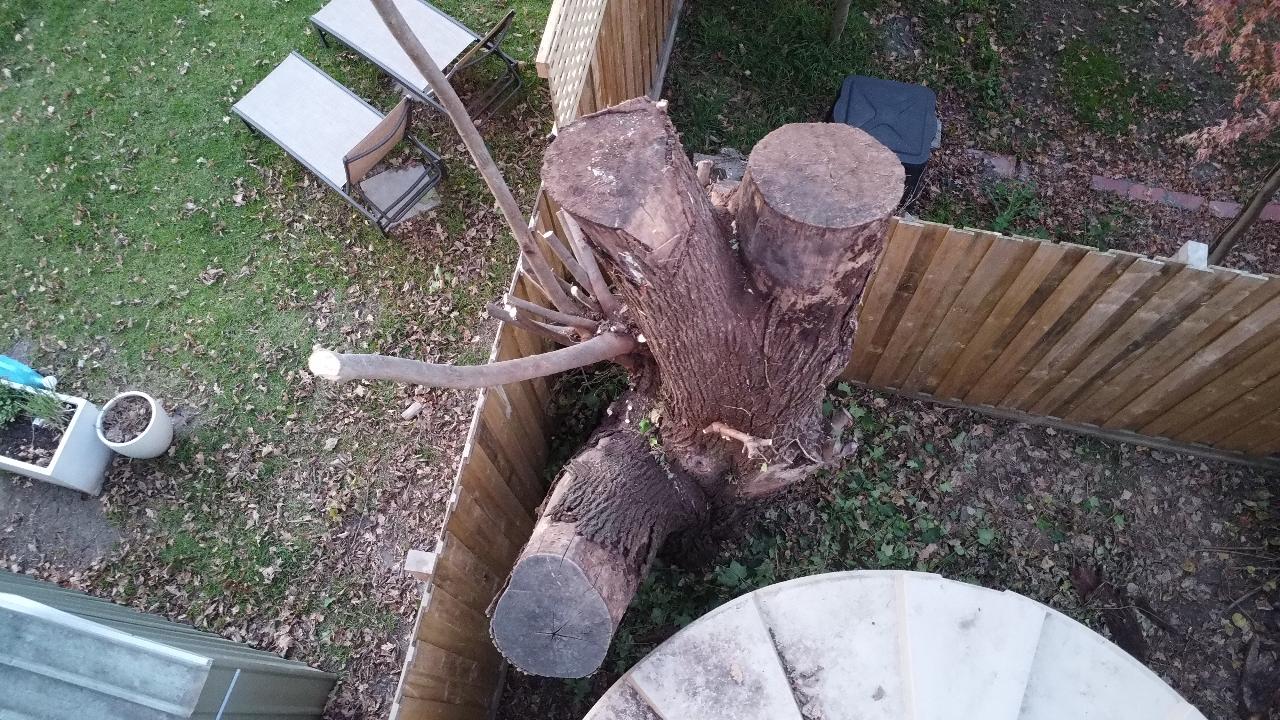 Aerial photography, drone photography by Aeromancia