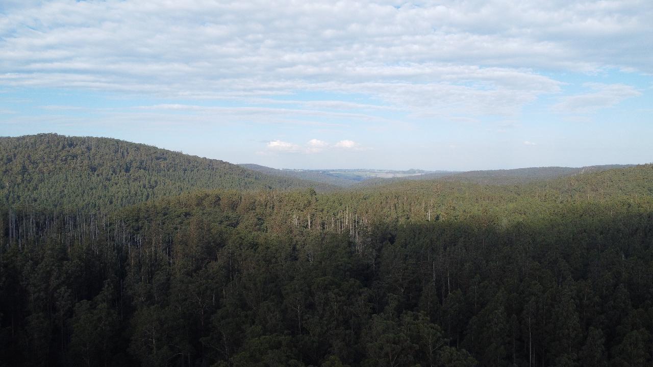 Aerial photography, drone photography by Aeromancia