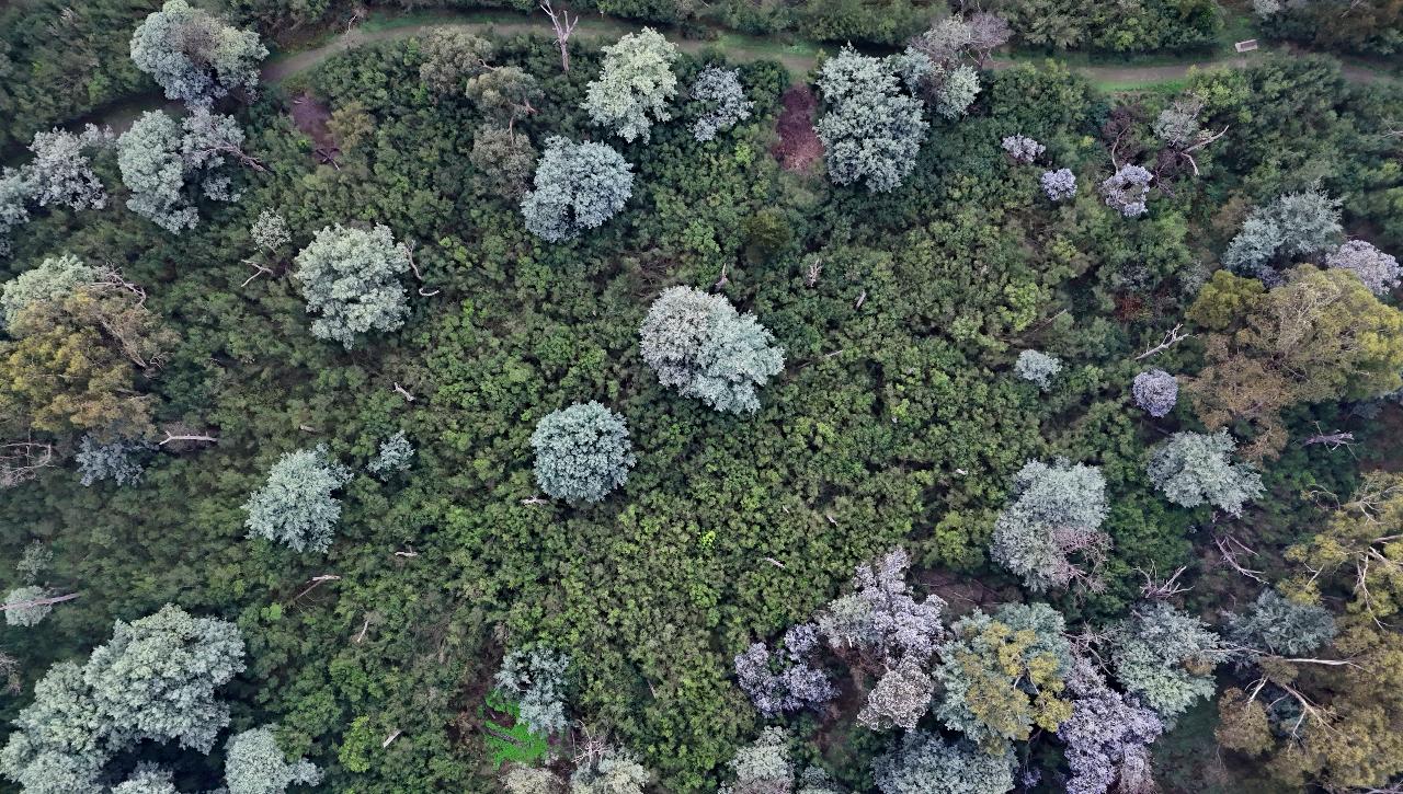 Aerial photography, drone photography by Flying Fox Drone Solutions