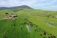 Island Light Photography