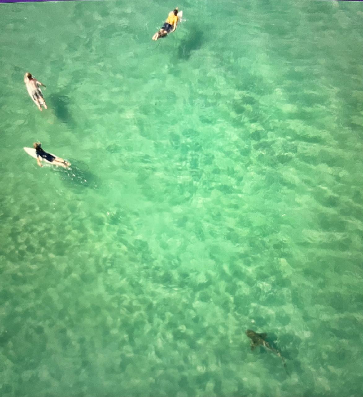 Aerial photography, drone photography by Bright Sky Drones