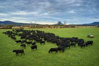 Island Light Photography