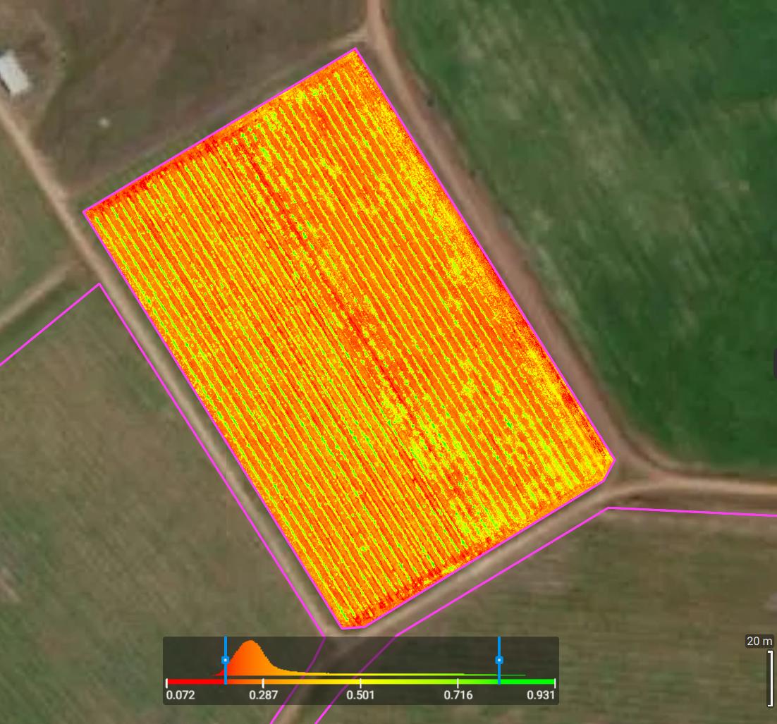 NDVI Crop Health Mapping for Vineyard Management