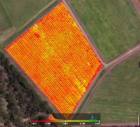 Swan Aerial Services