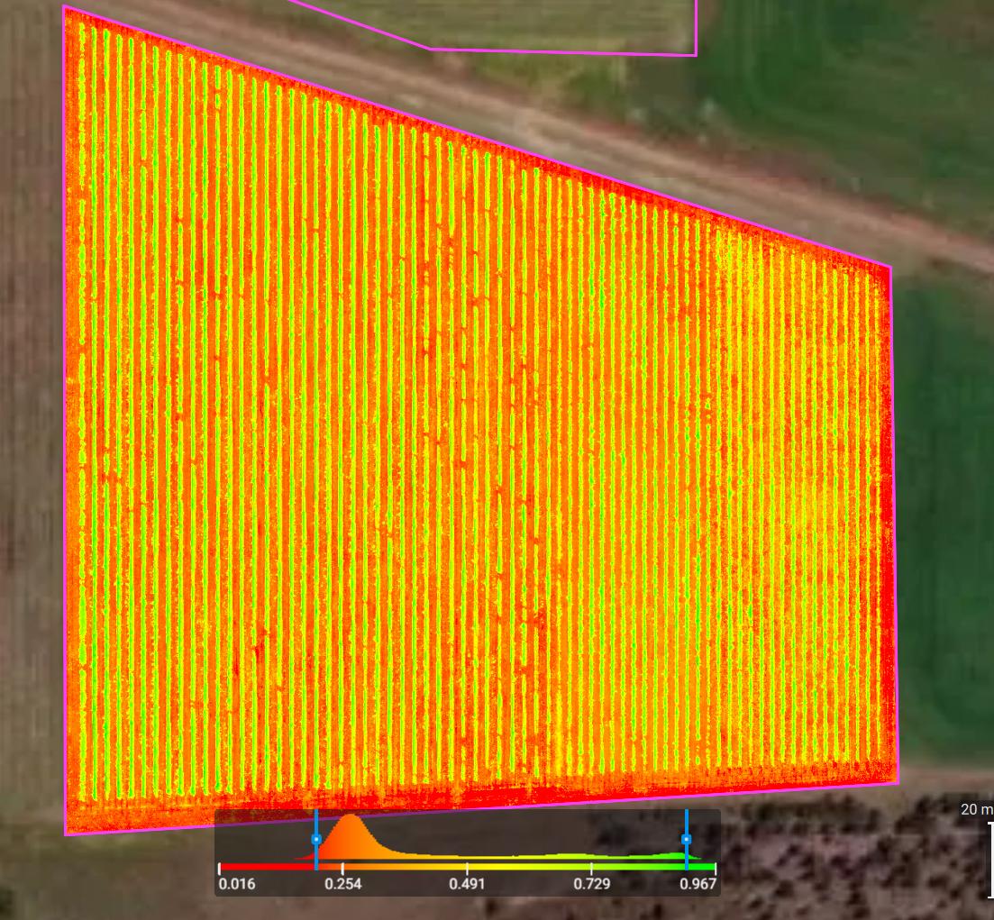 NDVI Crop Health Mapping for Vineyard Management
