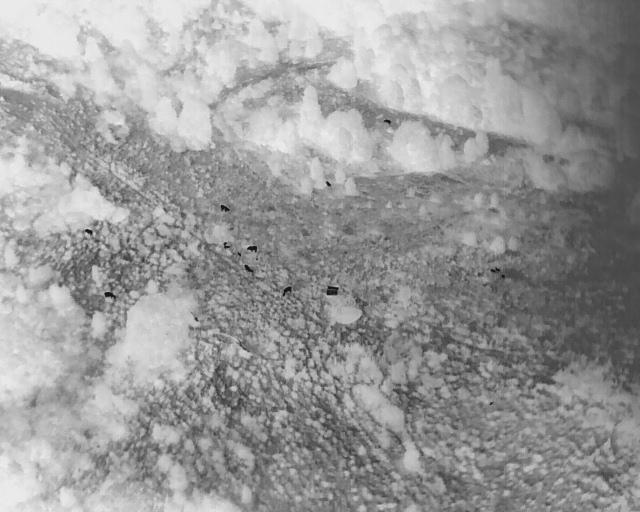 Aerial photography, drone photography by Bright Sky Drones