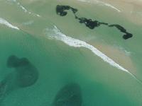 Pacific Drone Services