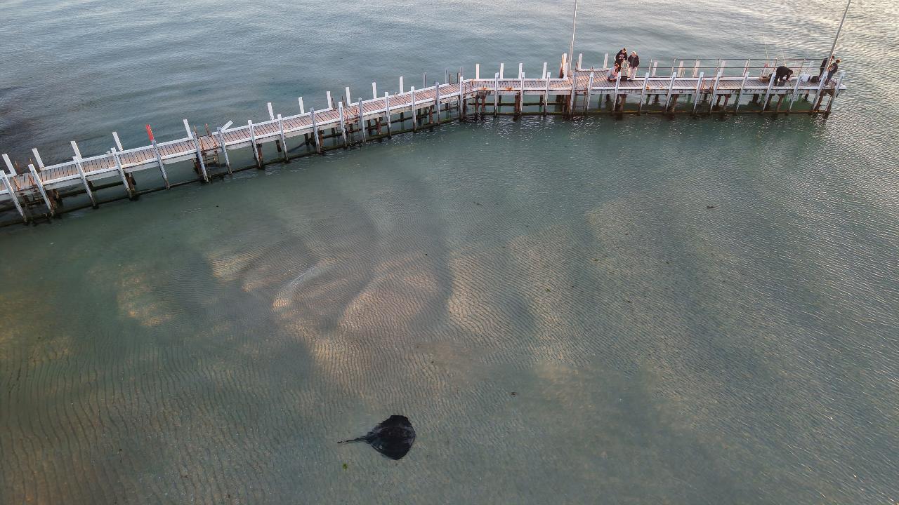 Aerial photography, drone photography by Aloft Aerial Solutions