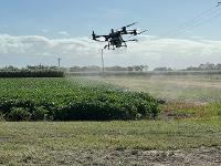 Southern Hemisphere Drones