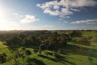 Aerial Insights SA