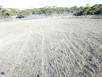 Honeyman UAV Services 