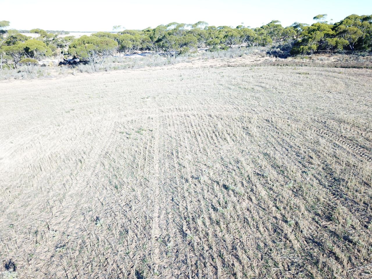 Aerial photography, drone photography by Honeyman UAV Services 