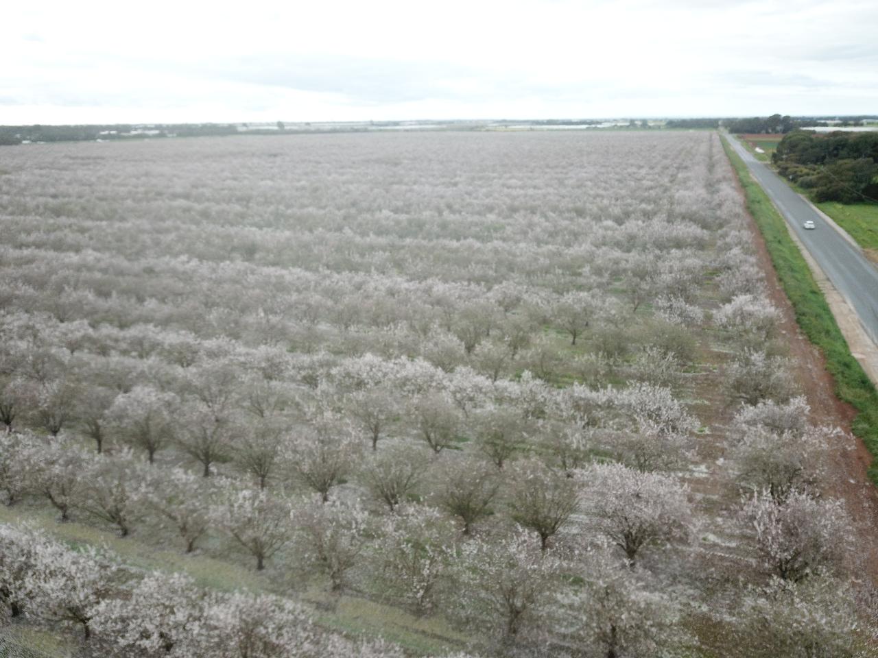 Aerial photography, drone photography by Honeyman UAV Services 