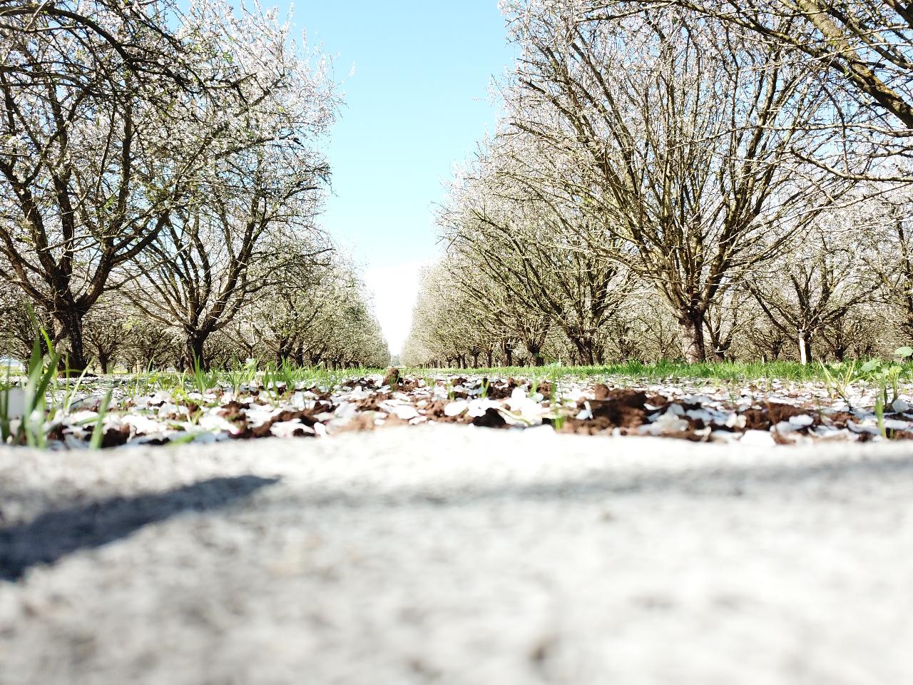 Aerial photography, drone photography by Honeyman UAV Services 