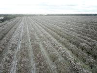 Honeyman UAV Services 