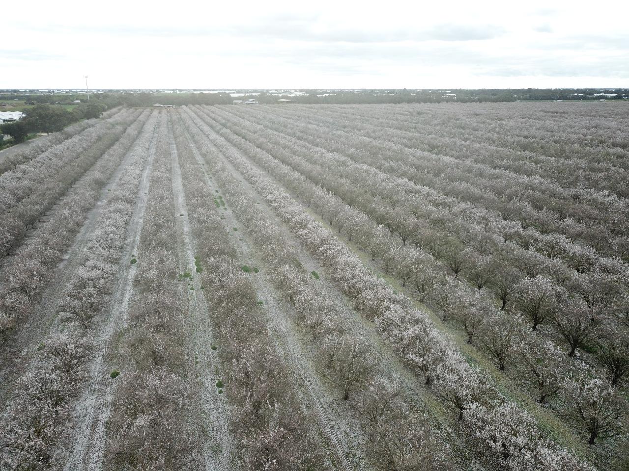 Aerial photography, drone photography by Honeyman UAV Services 