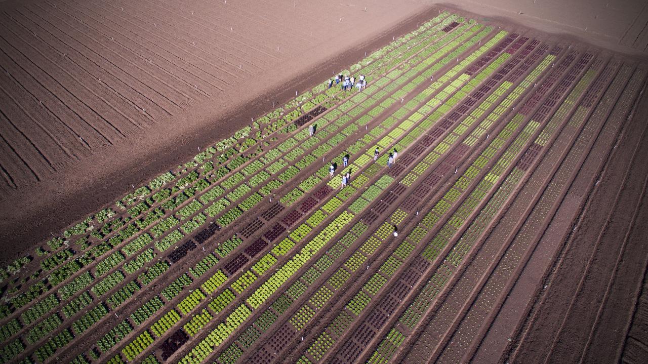 Aerial photography, drone photography by Ian Wilson Photography