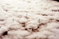 Ian Wilson Photography