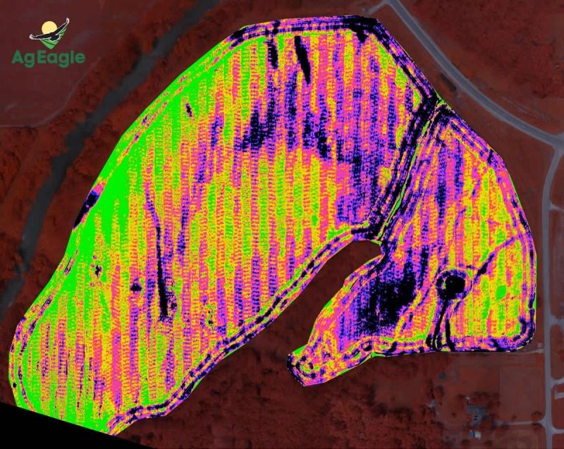 Aerial photography, drone photography by Falcon UAV