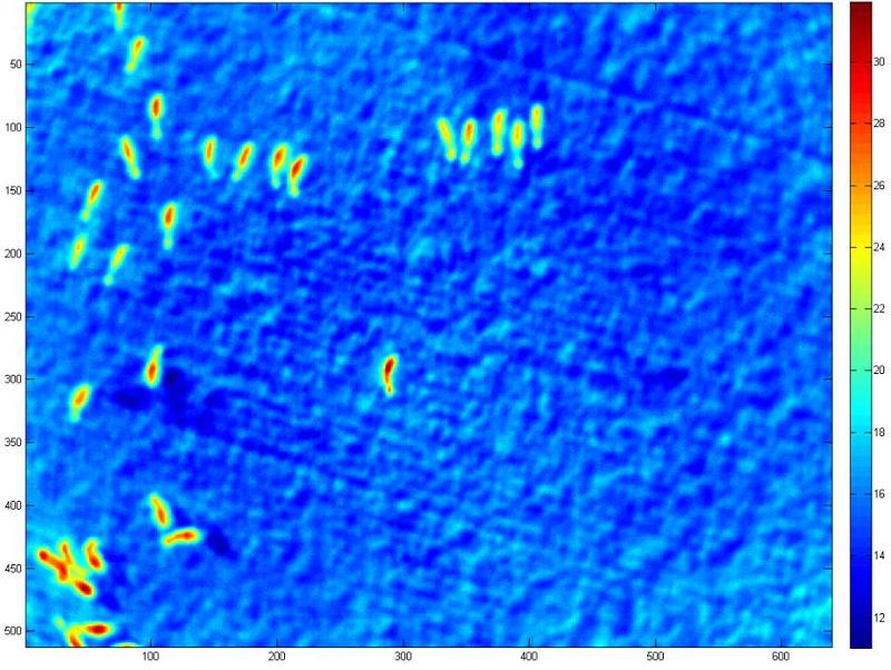 Aerial photography, drone photography by Digital Falcon